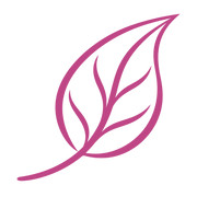 Palettparadiset logo