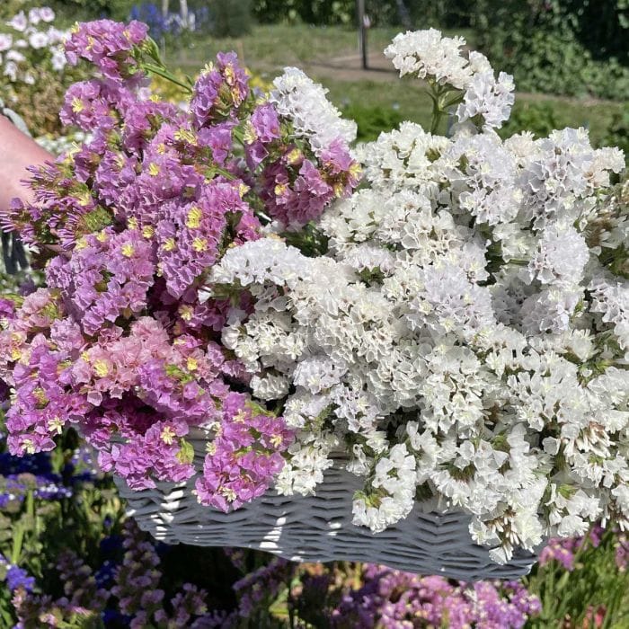 Forever Happy – Risp i mjuka rosa nyanser Palettparadiset