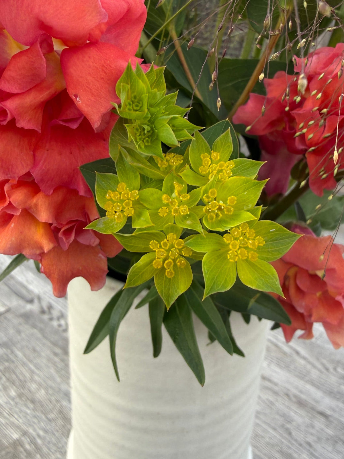Harört Green Gold i bukett med limegröna blomflockar