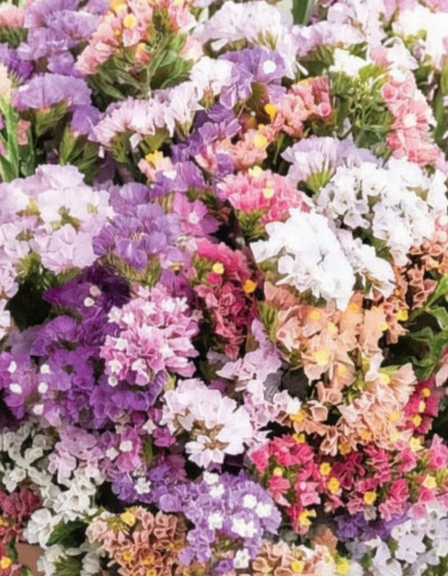 Pastel Mix – Blårisp i mjuka pastelltoner Palettparadiset