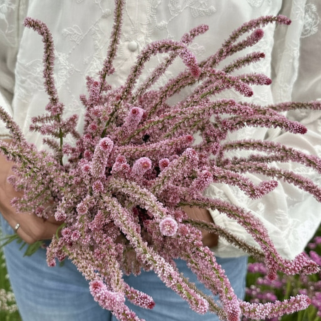 Pink Pokers – Axrisp i ljusrosa elegans Palettparadiset