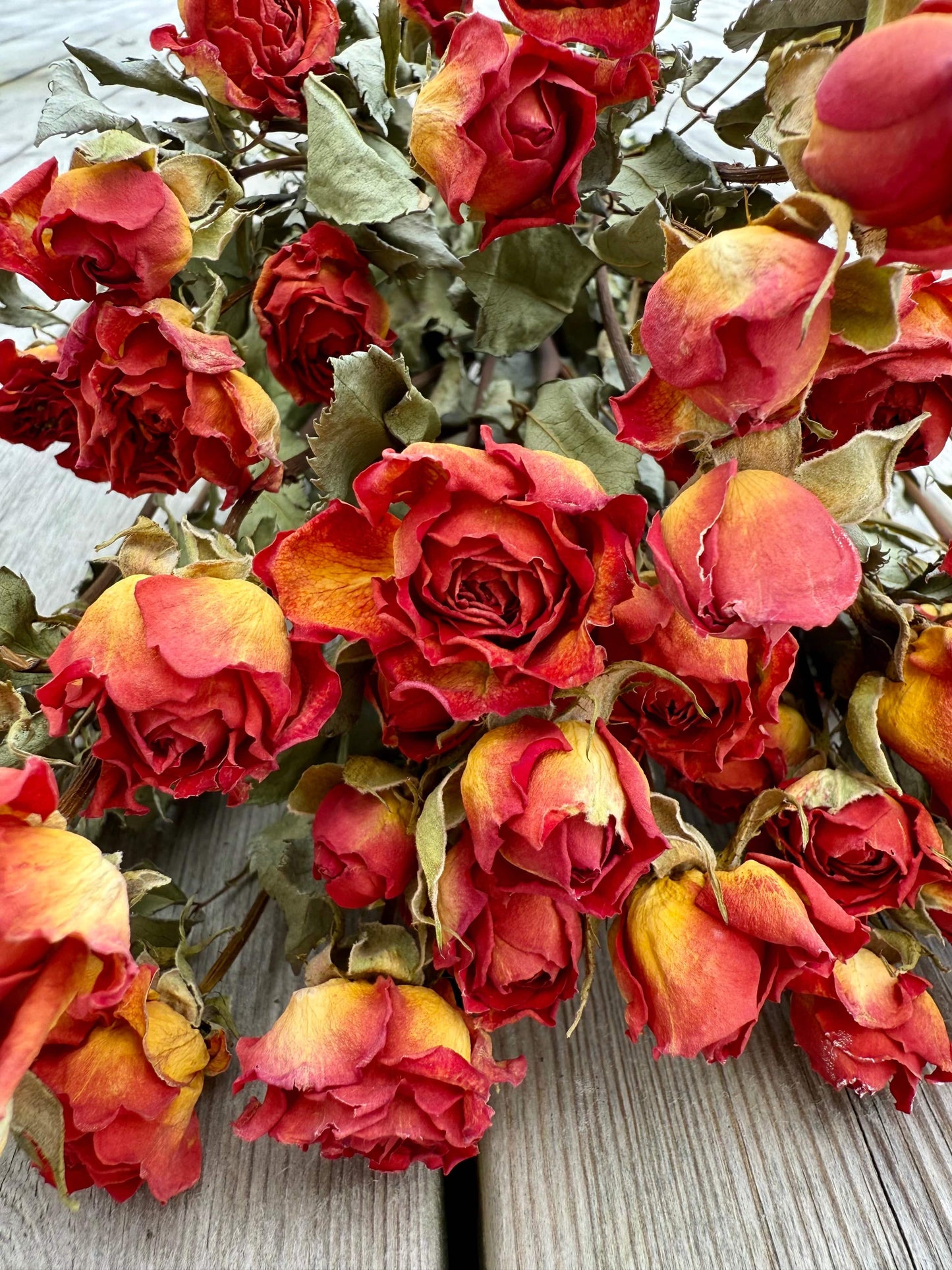 Torkad Kvistros – Rödorange skönhet med värme & karaktär Palettparadiset