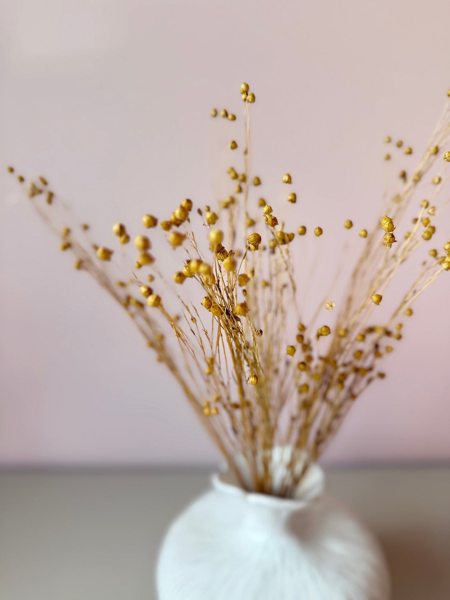 Torkad Lin – Elegant och tidlös inredningsdetalj Palettparadiset